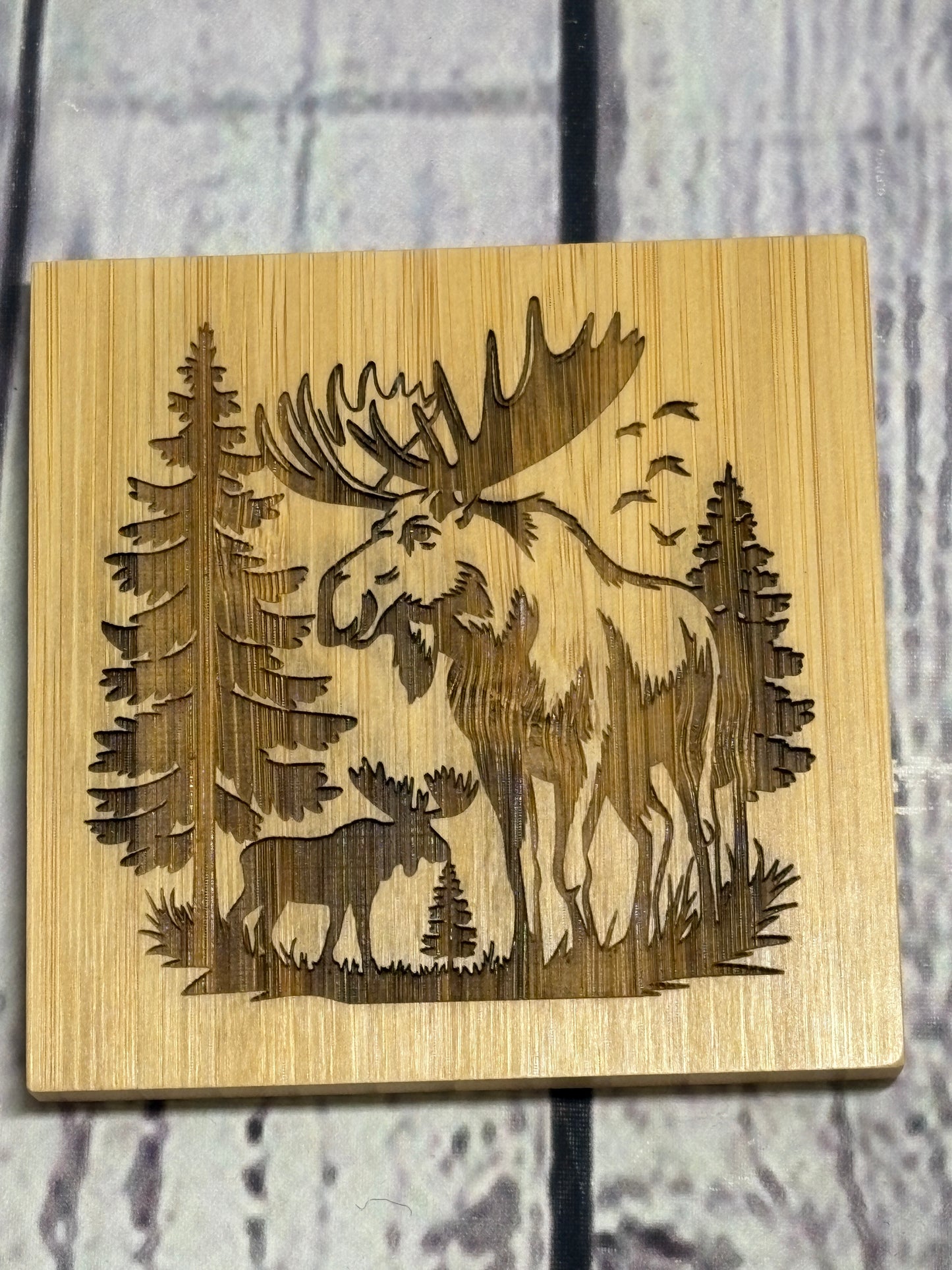 Wildlife, Grizzly Bear, Moose, Wolf & Eagle - Bamboo Coasters & Holder Set