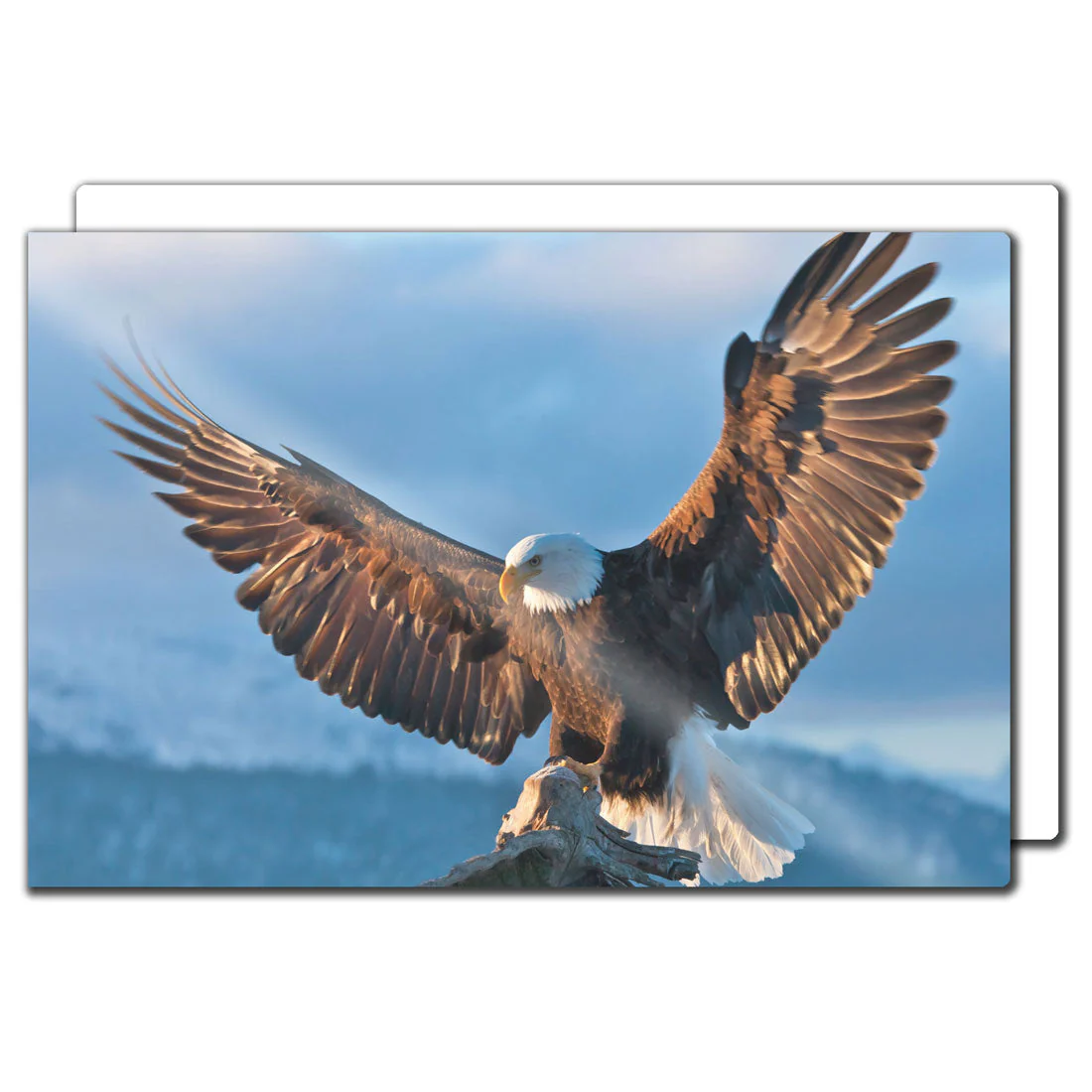 Design Your Own - HD Photo Panels